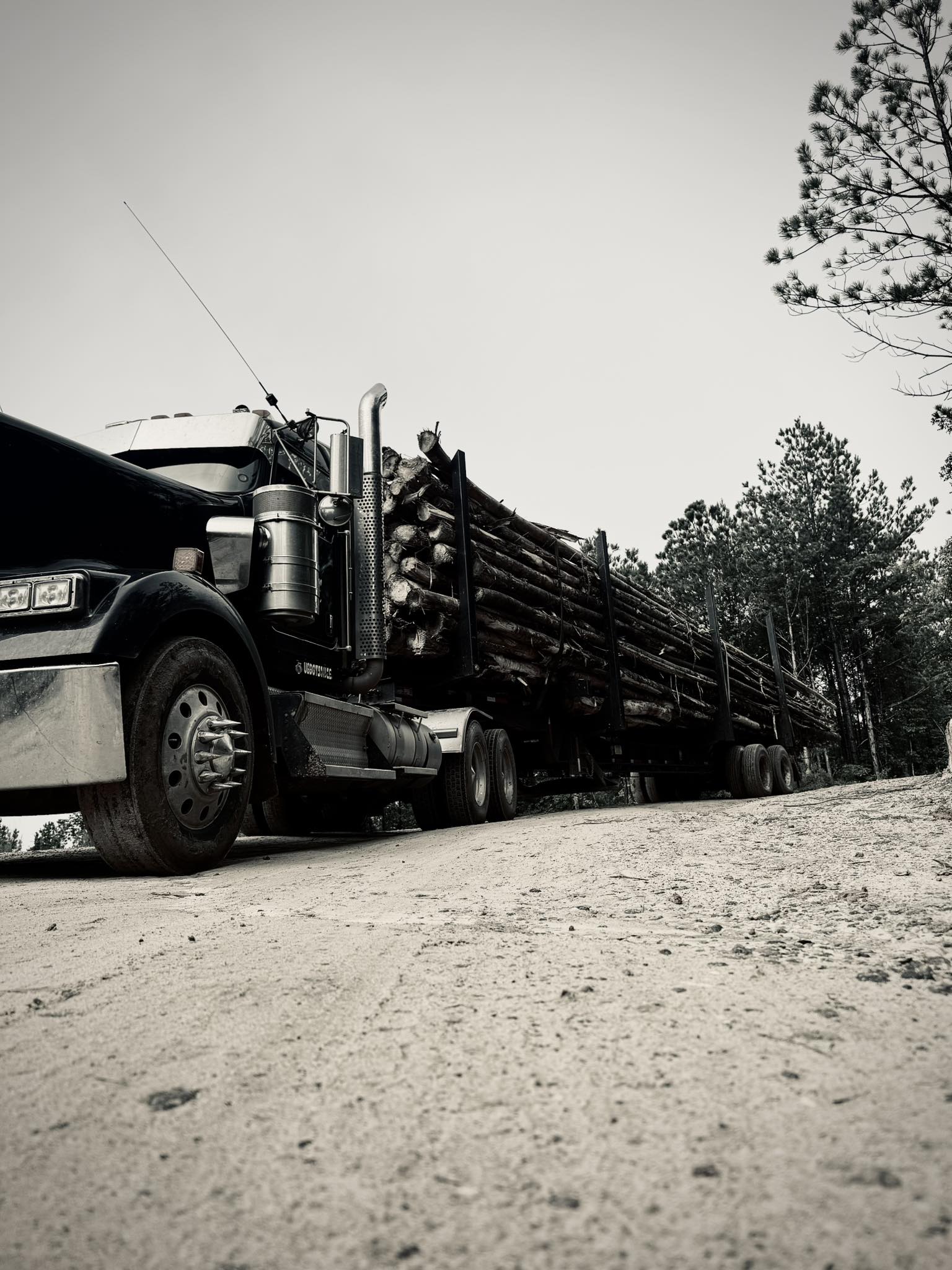 Log truck from a low angle on a dirt road